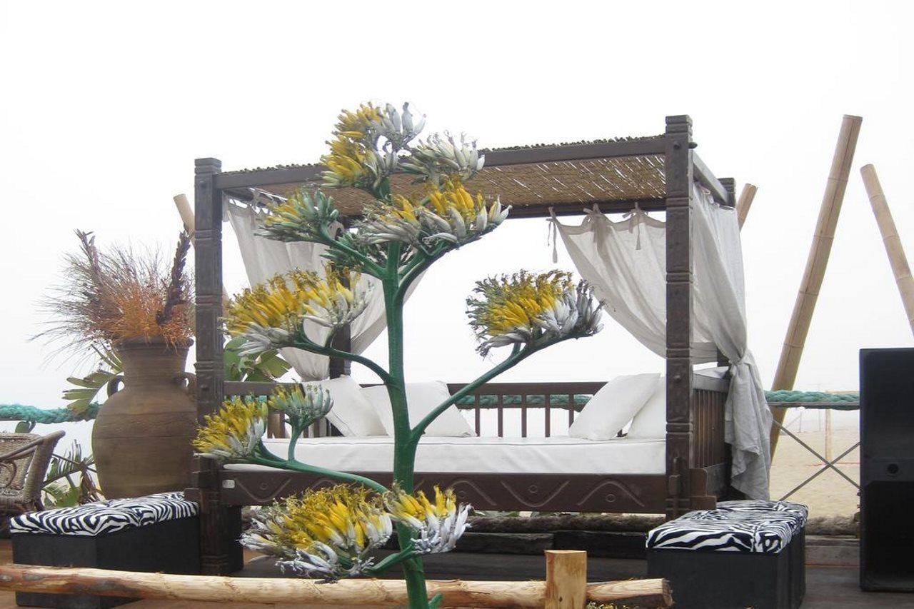 קטאניה Villaggio Albergo Internazionale La Plaja מראה חיצוני תמונה